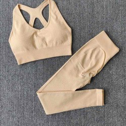 Ins New Women Ribbed Thick Yoga Sets Custom Logo Gym Fitness Sets Cycling Jogging Workout Clothes For Women Seamless Sport Suit