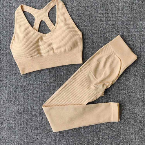 Ins New Women Ribbed Thick Yoga Sets Custom Logo Gym Fitness Sets Cycling Jogging Workout Clothes For Women Seamless Sport Suit