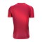 Monton Custom Sublimation Printing Logo Quick Dry Cycling Running T Shirts
