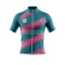 Hot Selling Lightweight Cycling Jersey Custom Breathable Quick Dry Cycling Shirt Plus Size Seamless Cycling Wear For Men