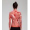 Custom Made Long Sleeve Sublimation Print Breathable Team Road Bike Cycling Jersey Women